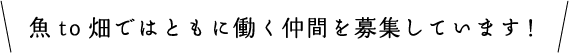 魚to畑ではともに働く仲間を募集しています！